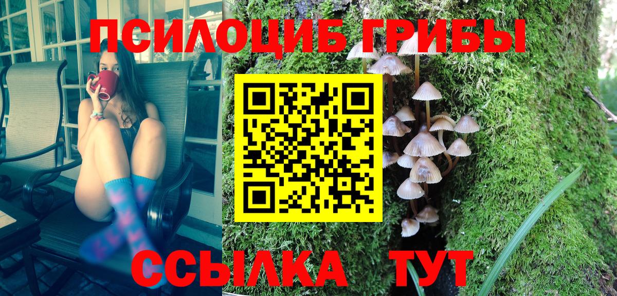 Псилоцибиновые грибы Cubensis  Вход с VPN  Ливны 